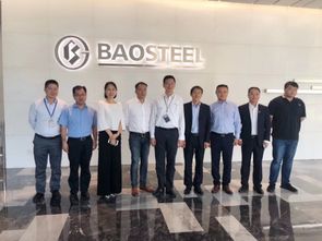 唐能翻译中标宝钢股份工程项目翻译与会议服务，彰显专业实力